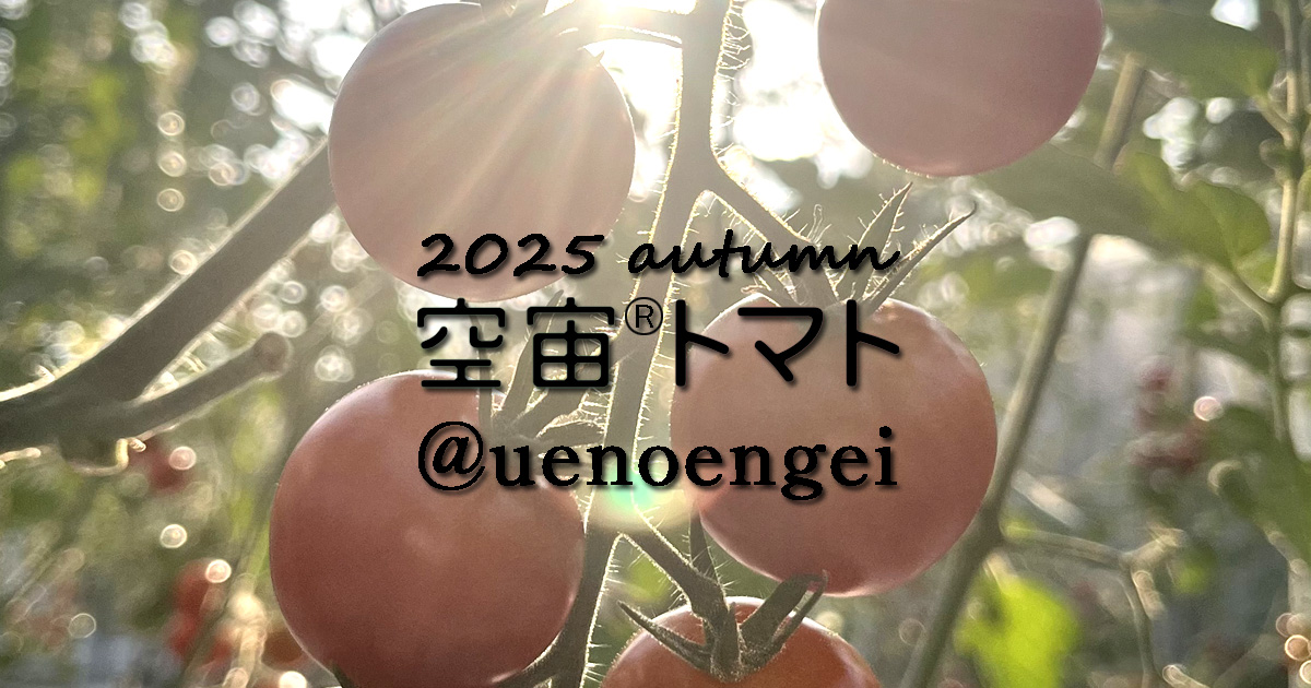 2025秋空宙トマトuenoengei