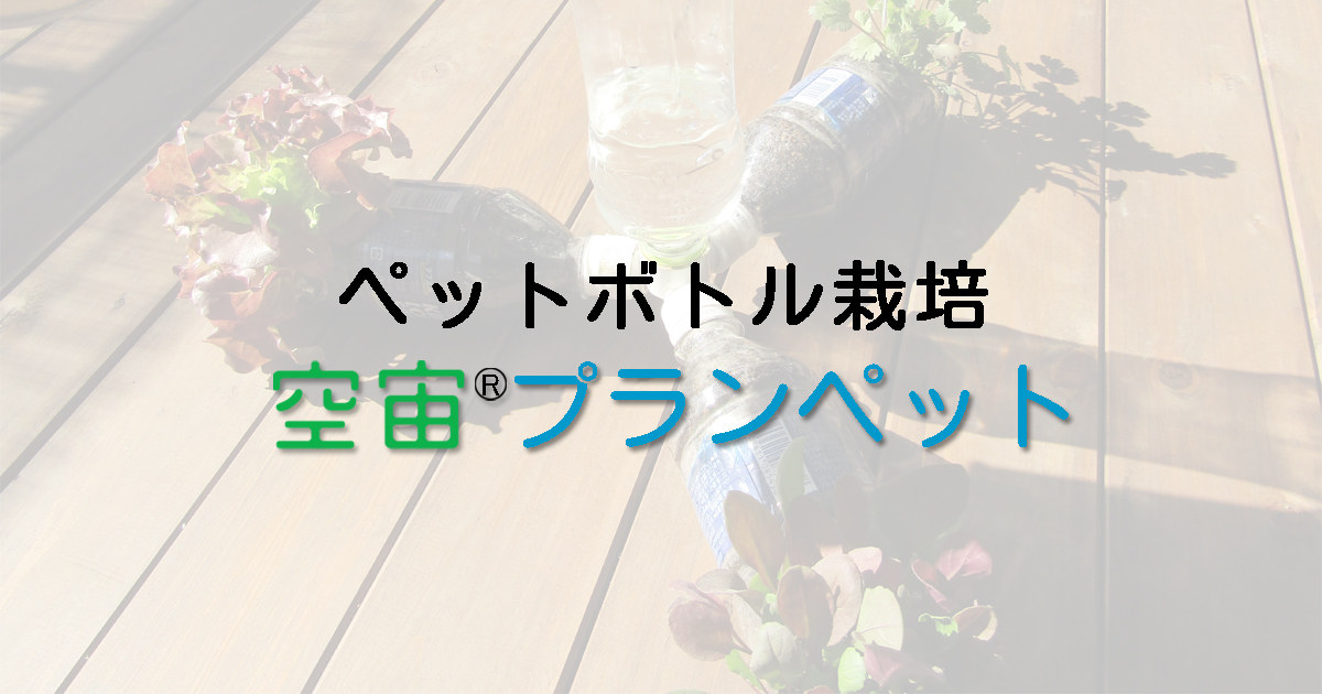 空宙プランペットuenoengei