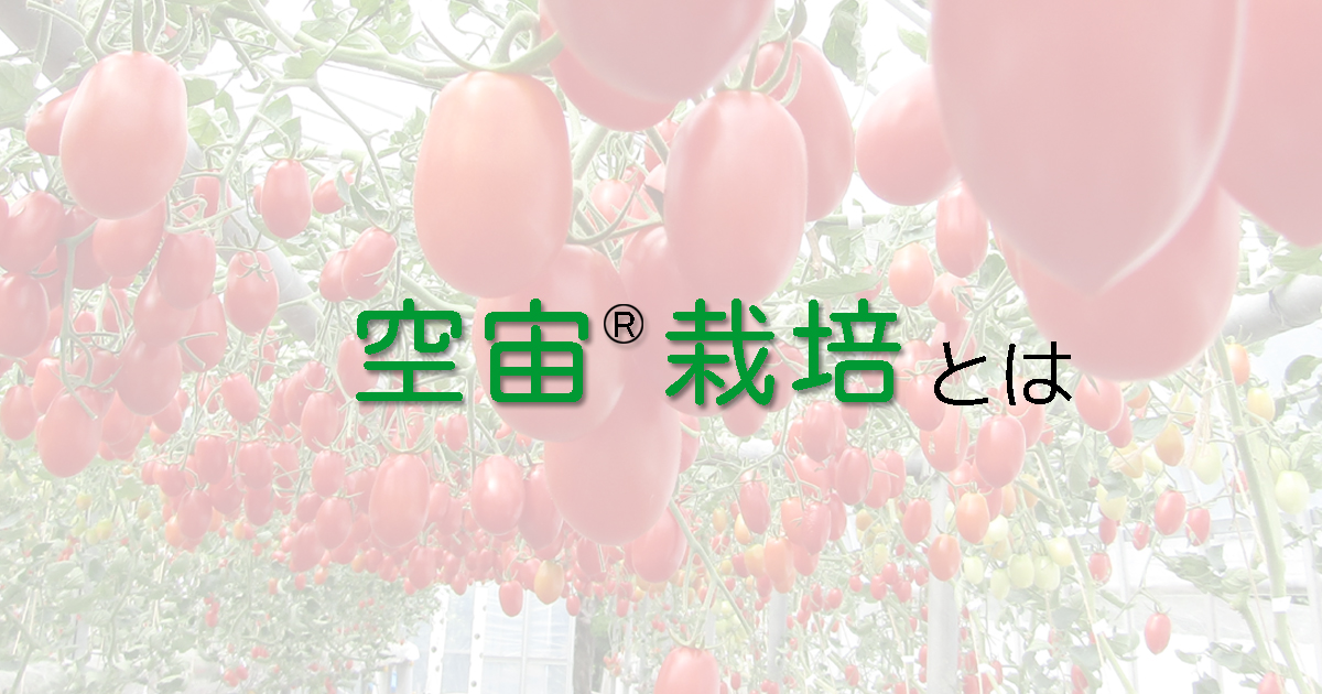 空宙栽培uenoengei