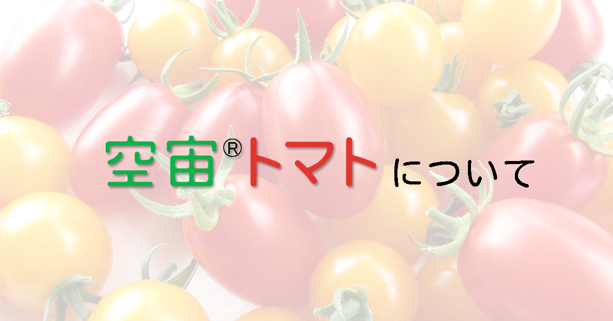 空宙トマトuenoengei