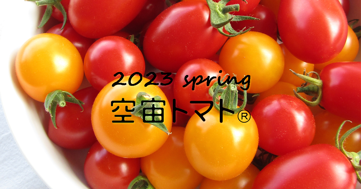 2023春の空宙トマト,uenoengei