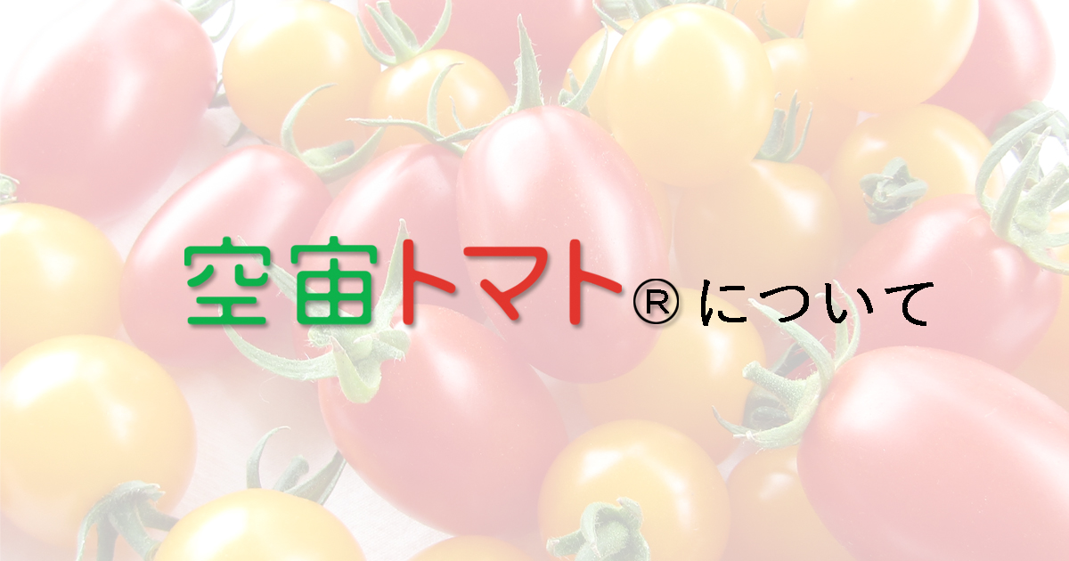 空宙トマトについて