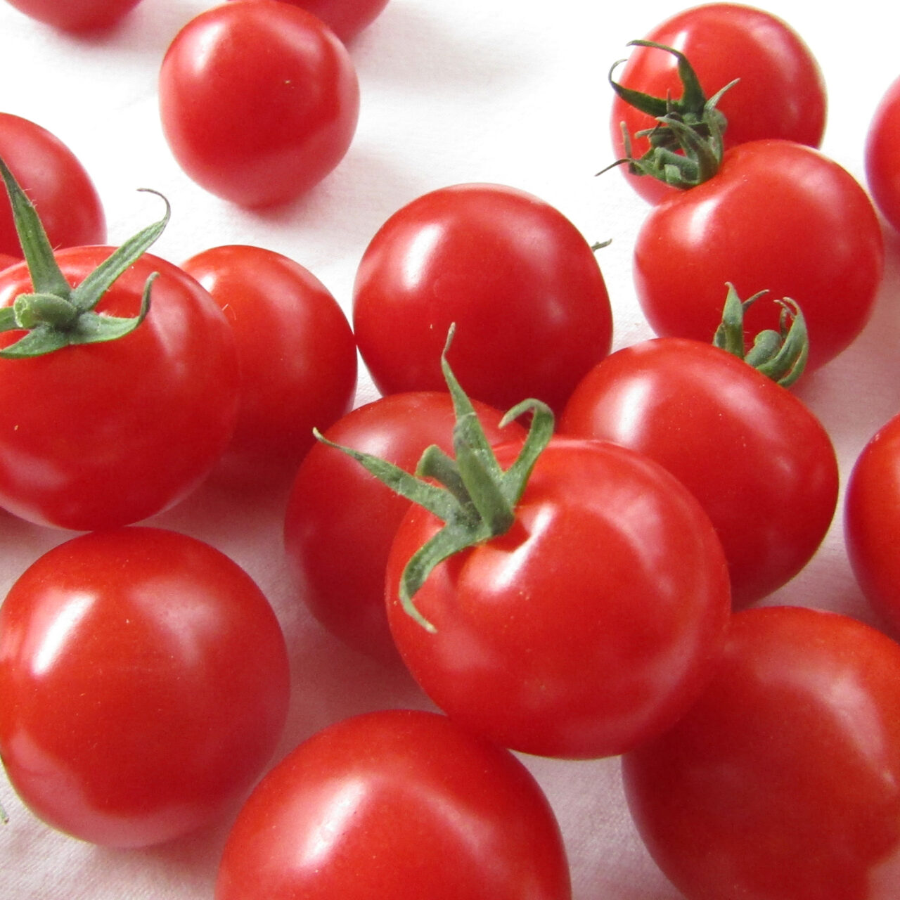 空宙トマト,赤ミニトマト